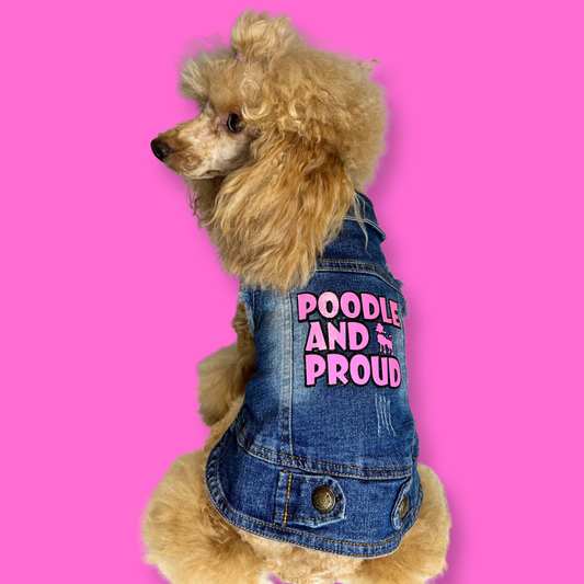 Do dogs need to wear coats