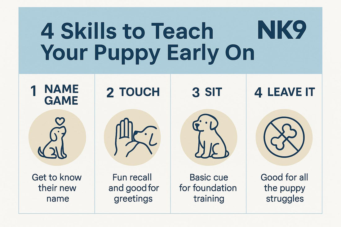 🐾 4 Essential Skills to Teach Your Puppy in Their First Few Weeks