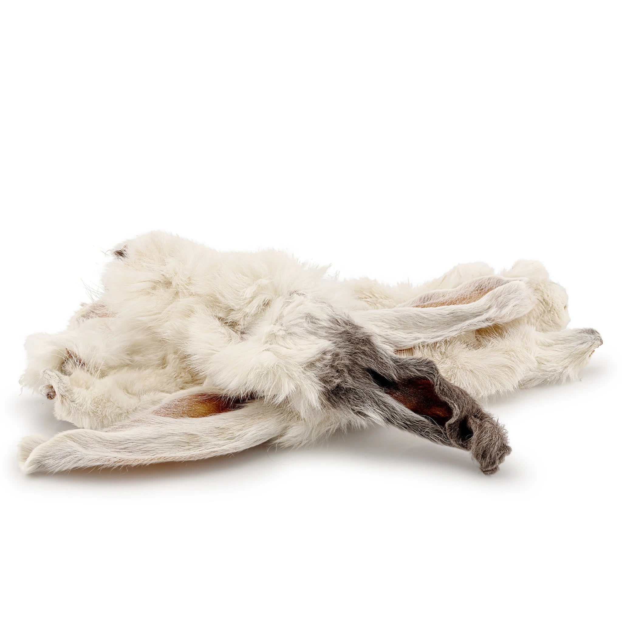 Embracing Nature: A Guide to Natural Wormers for Dogs