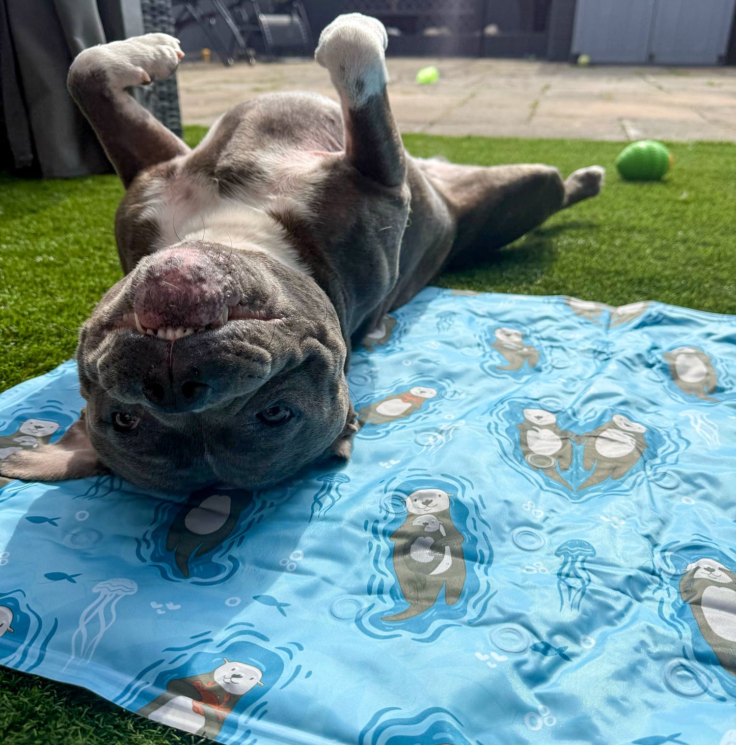 Otterly Lovely Dog Cooling Mat – Gel-Filled Cooling Dog Bed with Adorable Sea Otter Print 🦦❄️
