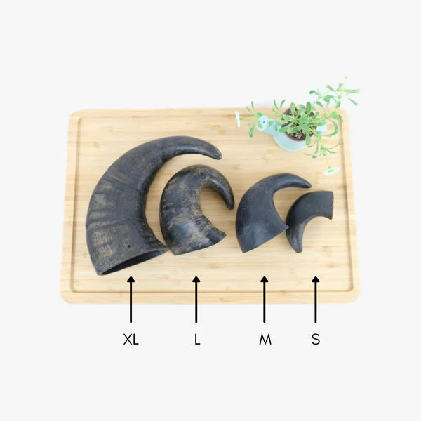 Buffalo horn - Pup Chic Boutique
