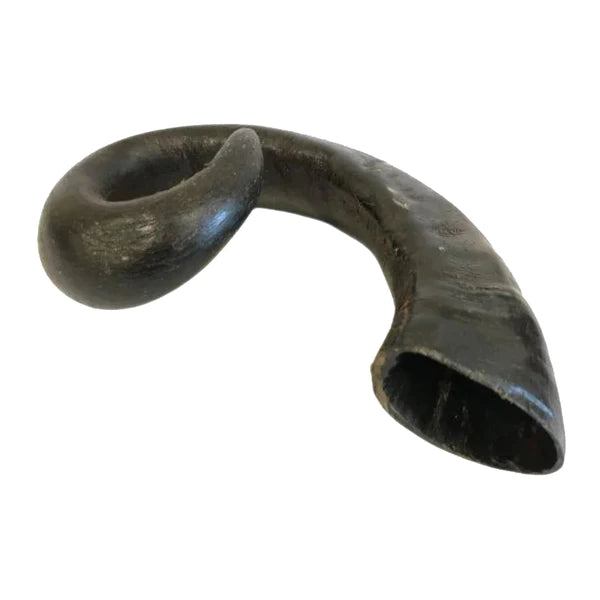 Buffalo horn - Pup Chic Boutique