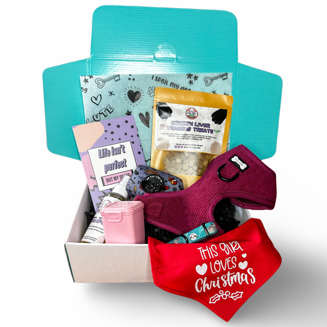 Dog accessory Bundle Box