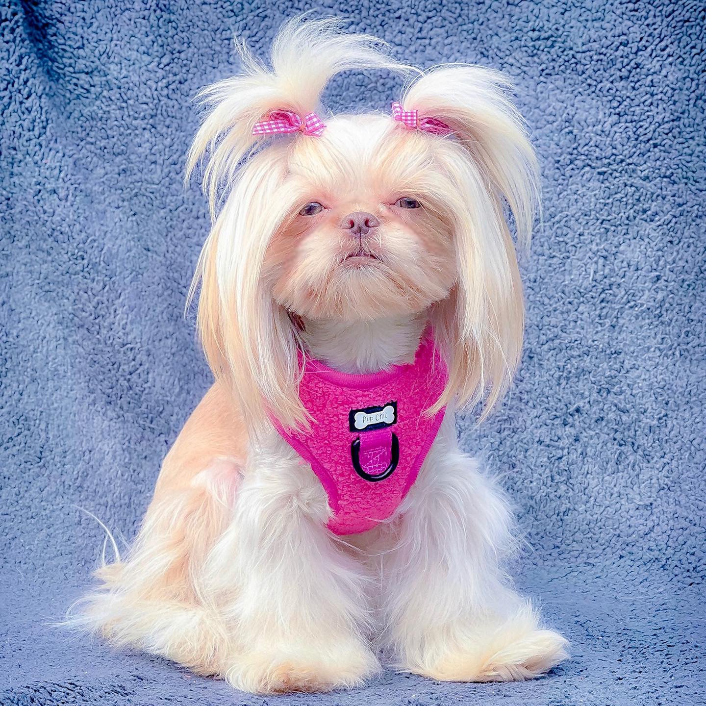 Hot Stuff pink fleece dog harness - adjustable dog harness - Pup Chic Boutique