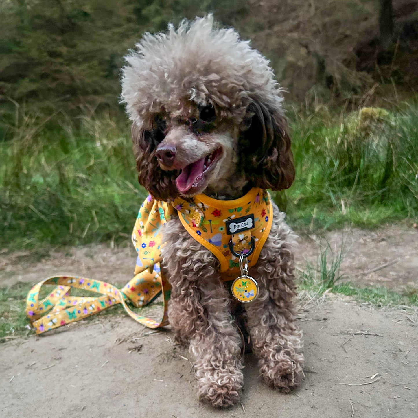 Summer Buzzin' Dog Tag