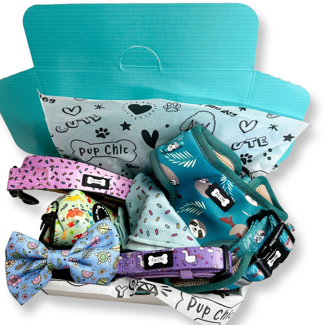 Dog accessory Bundle Box