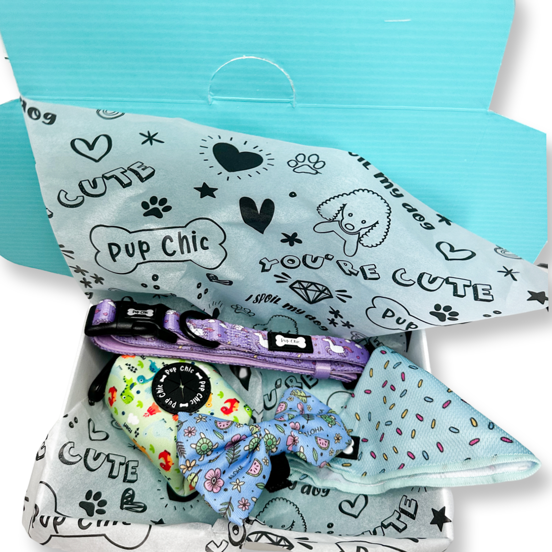 Dog accessory Bundle Box