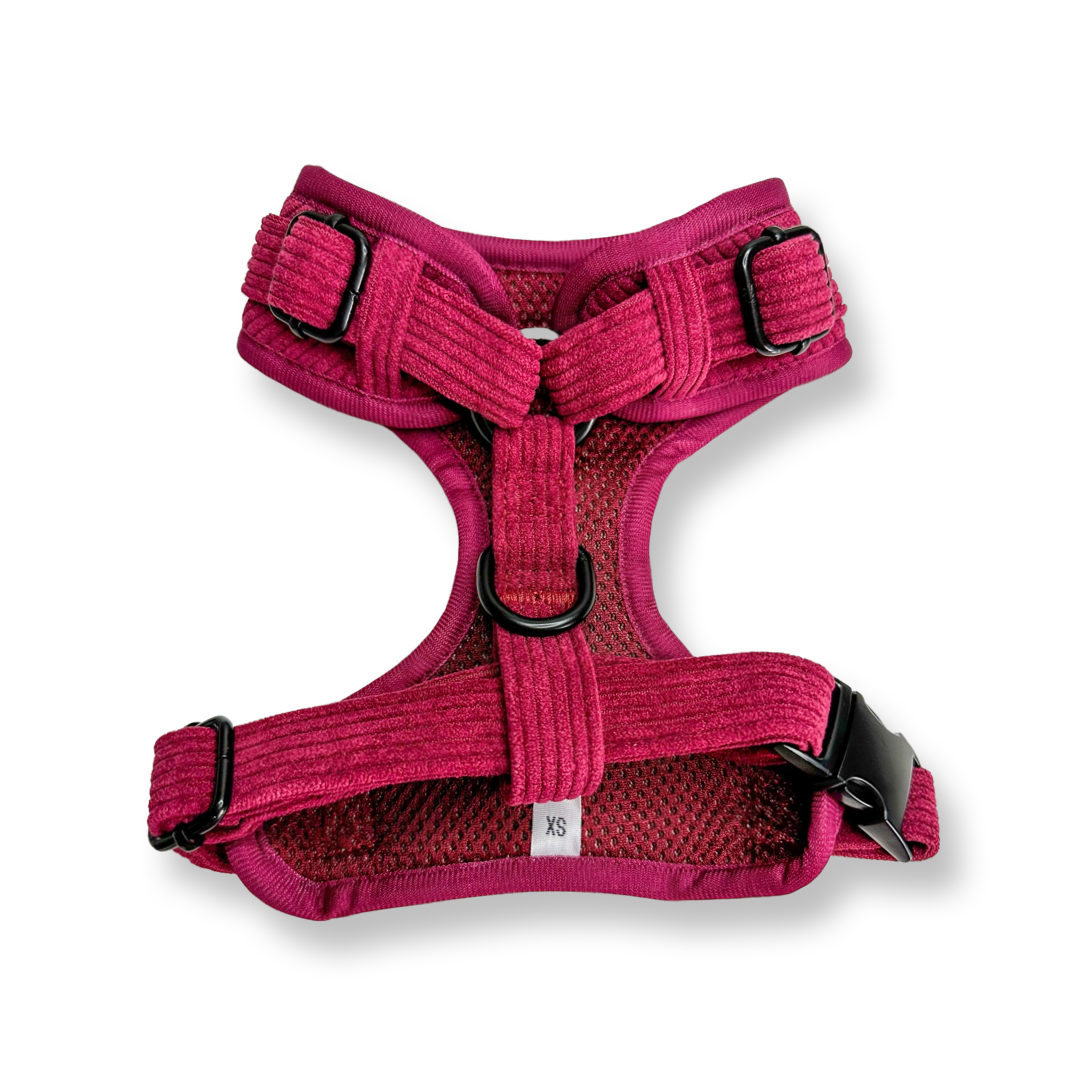 Plumcious corduroy dog harness - adjustable dog harness - Pup Chic Boutique