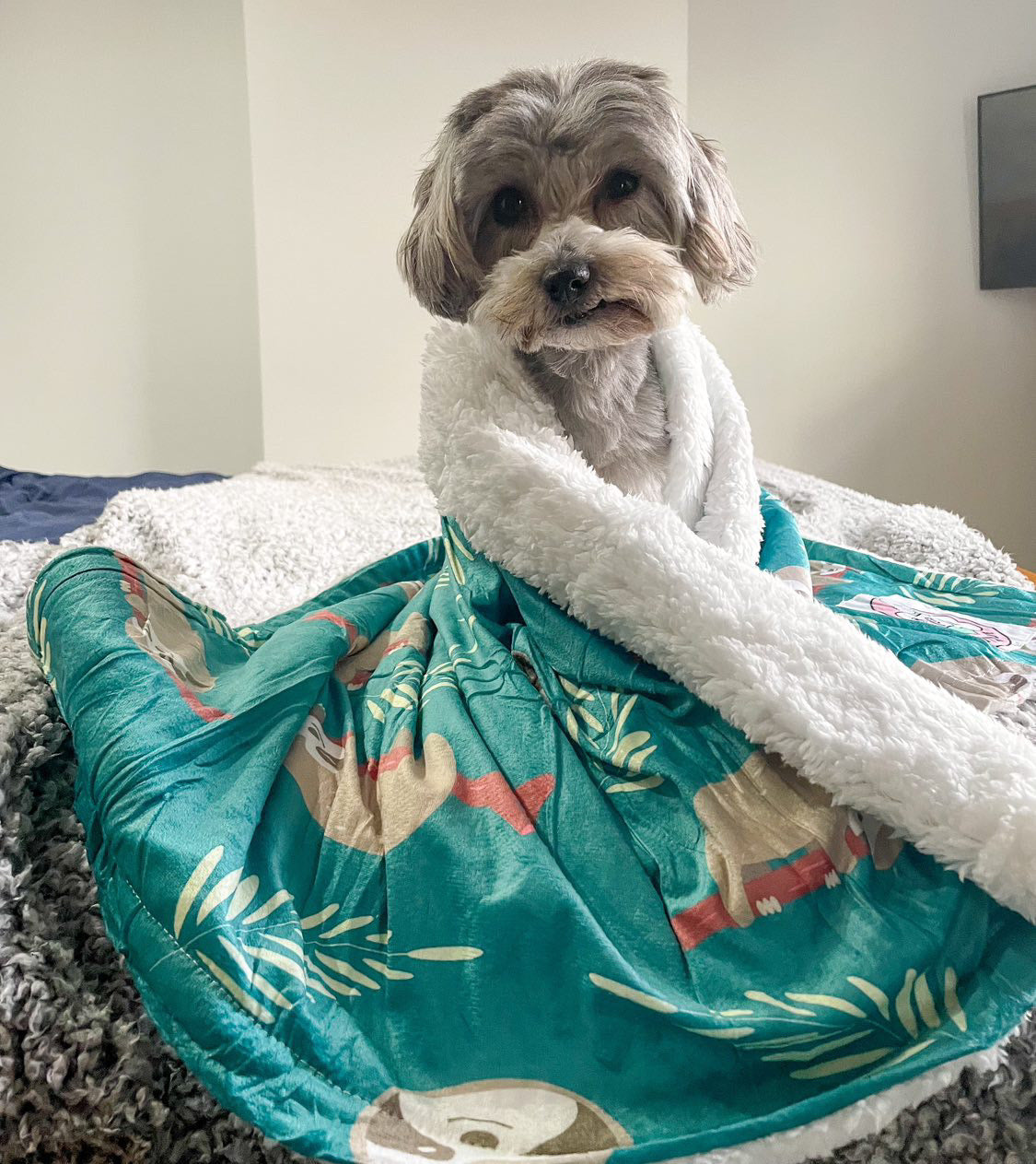 Lazy Sloth LARGE blanket - fleece dog blanket - Pup Chic Boutique