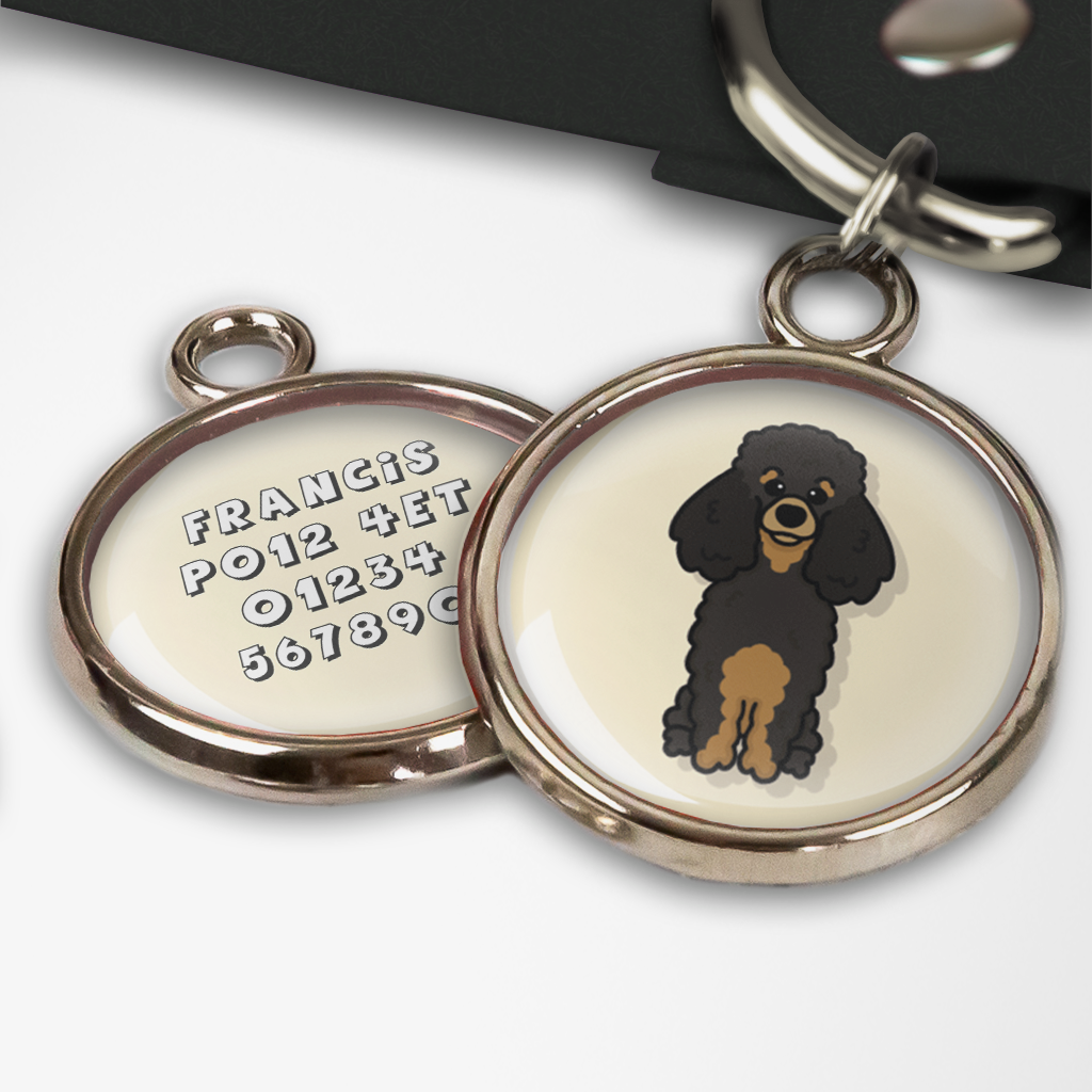 Personalized st clearance francis dog tag