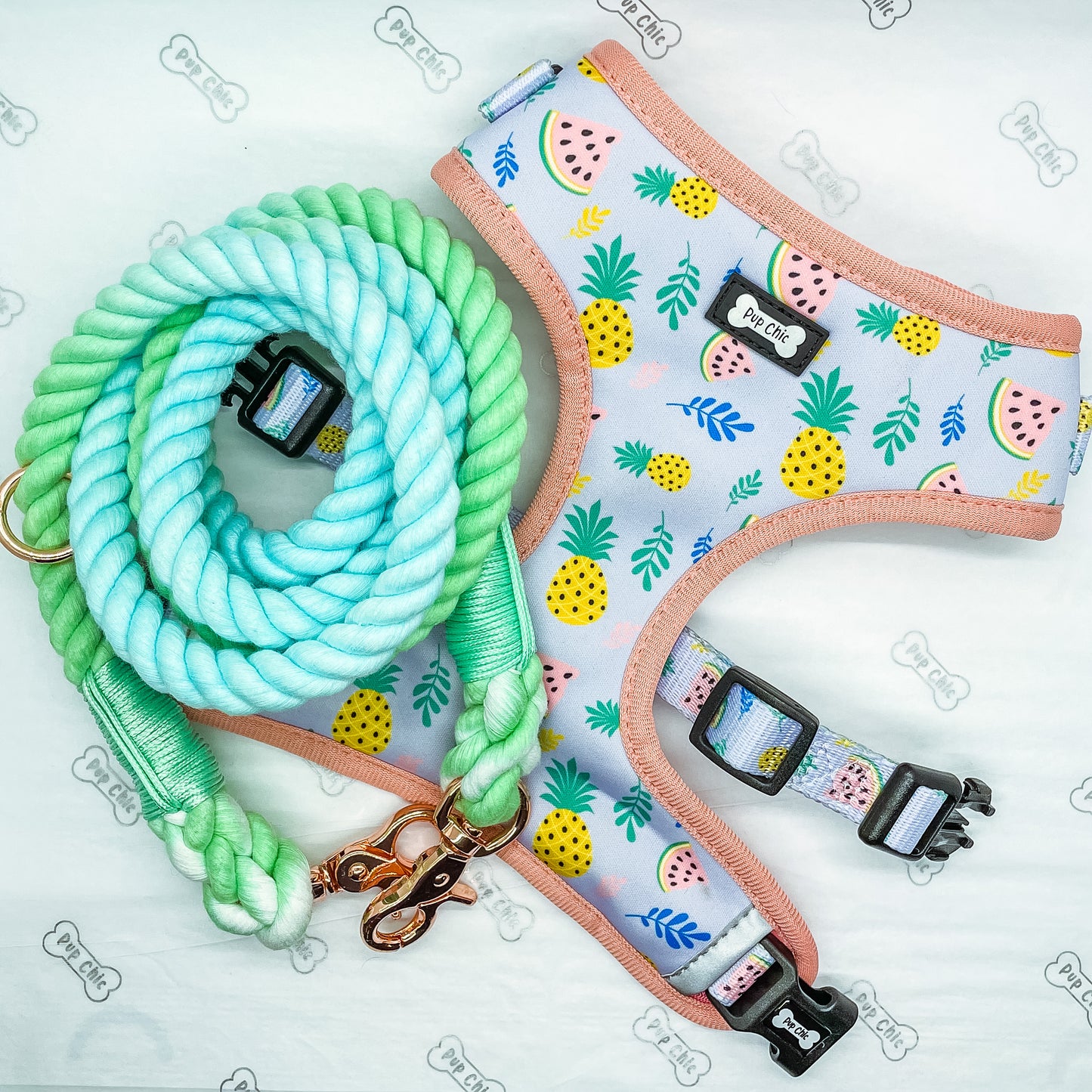 aqua marine ombre adjustable rope lead