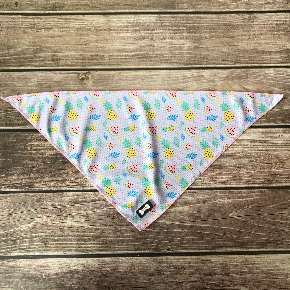 cutie fruity cooling dog bandanna