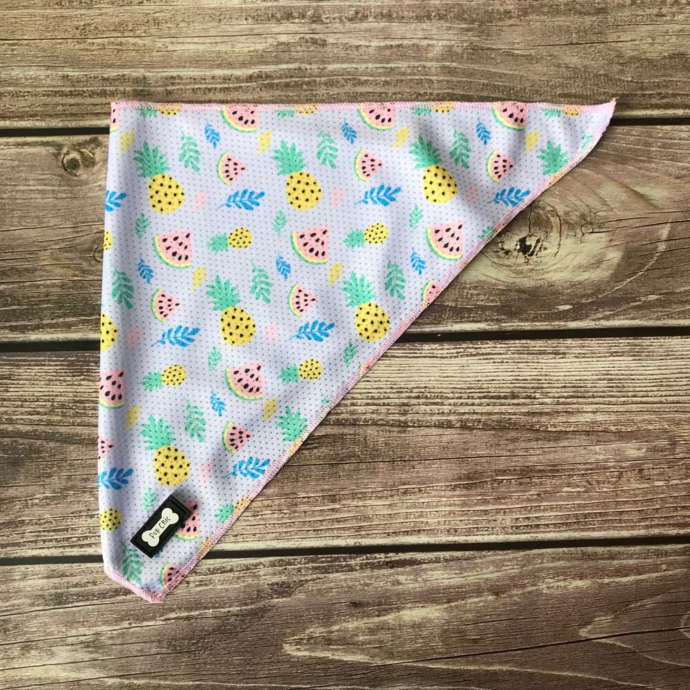 cutie fruity cooling dog bandanna