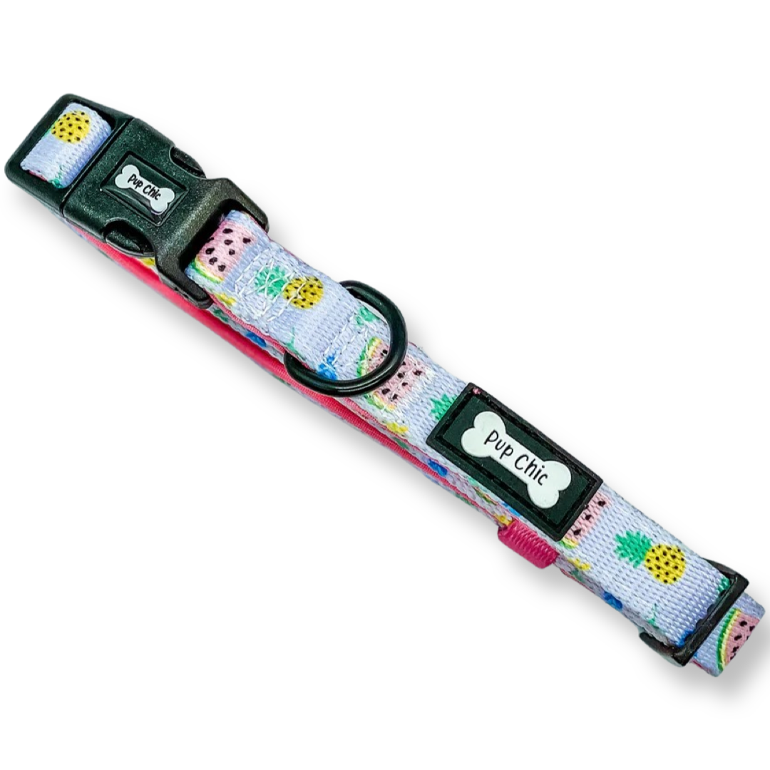 Cutie Fruity Collar