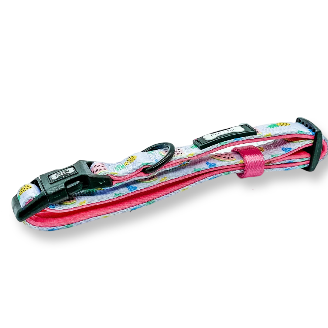 Cutie Fruity Collar