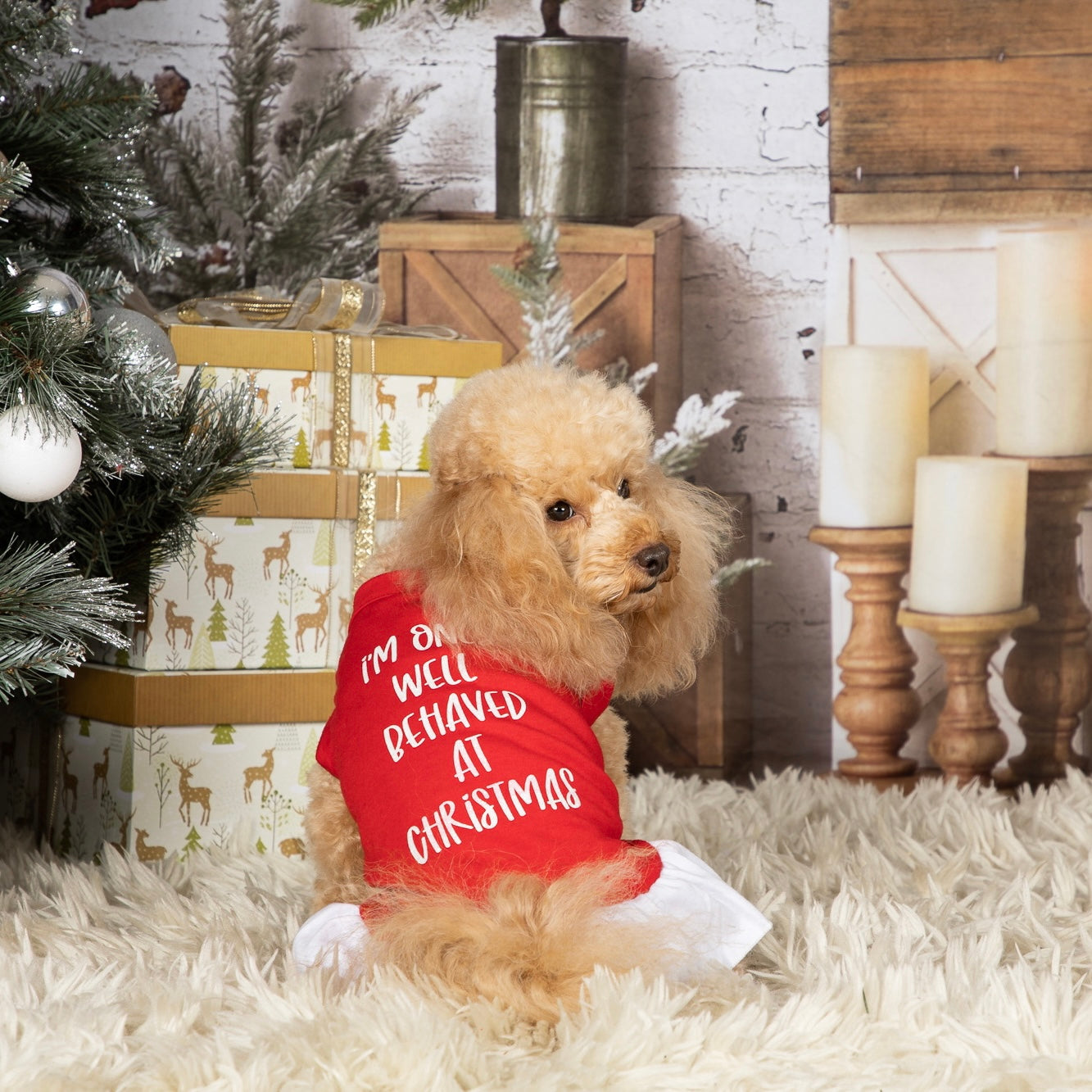 Dog personalised t-shirt dress