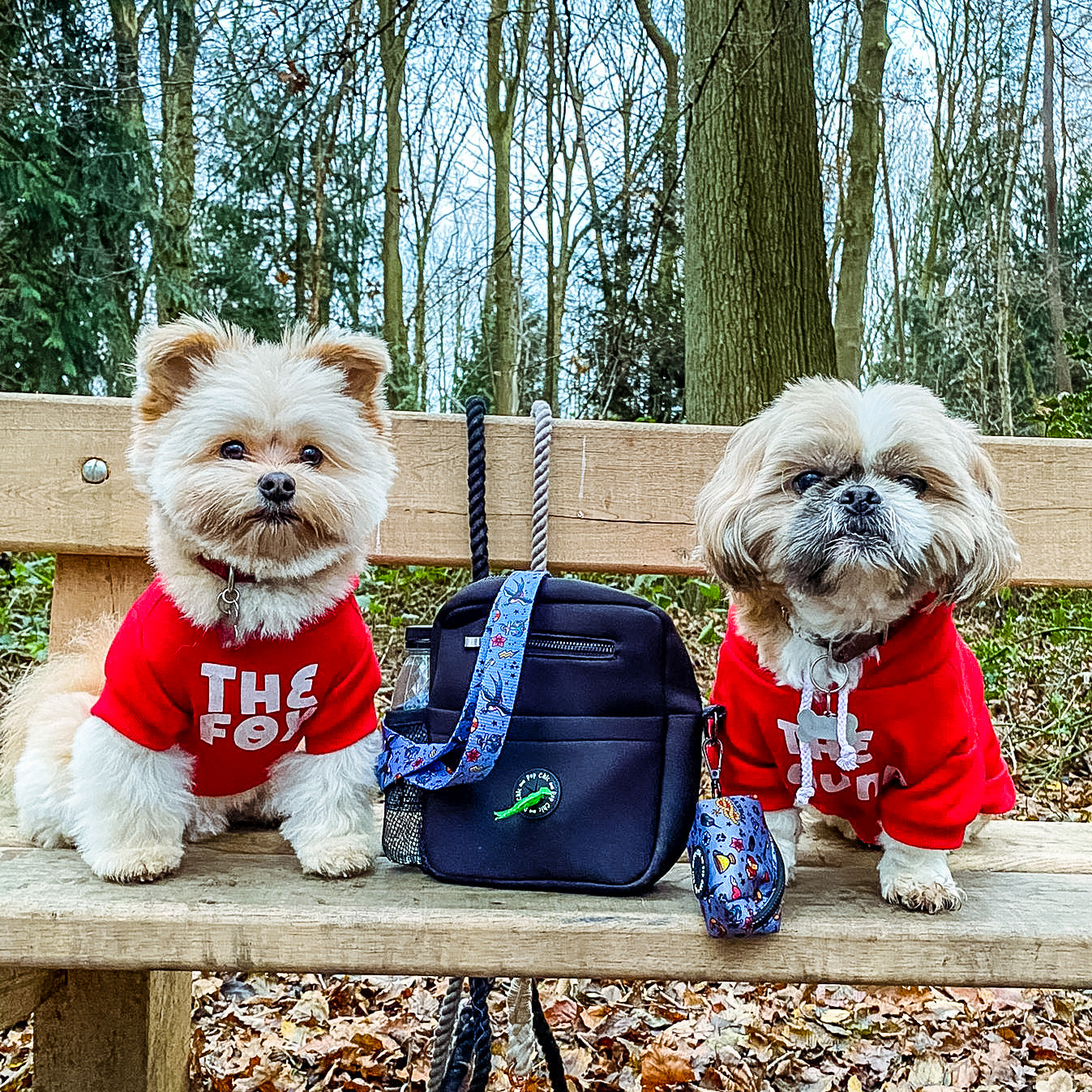artful dogster pooch pouch - the dog walking bag