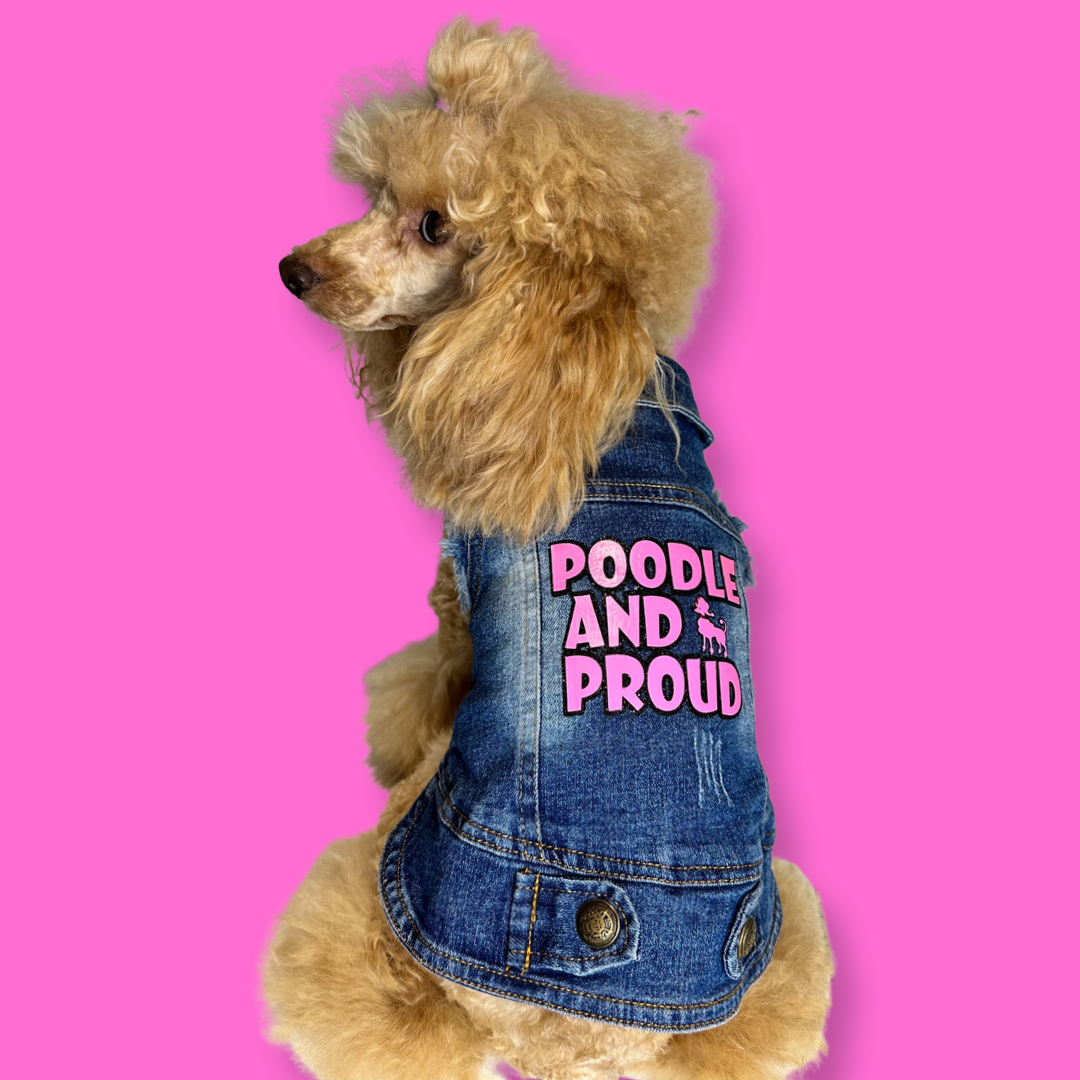 Personalised dog denim jacket - black or grey - Pup Chic Boutique