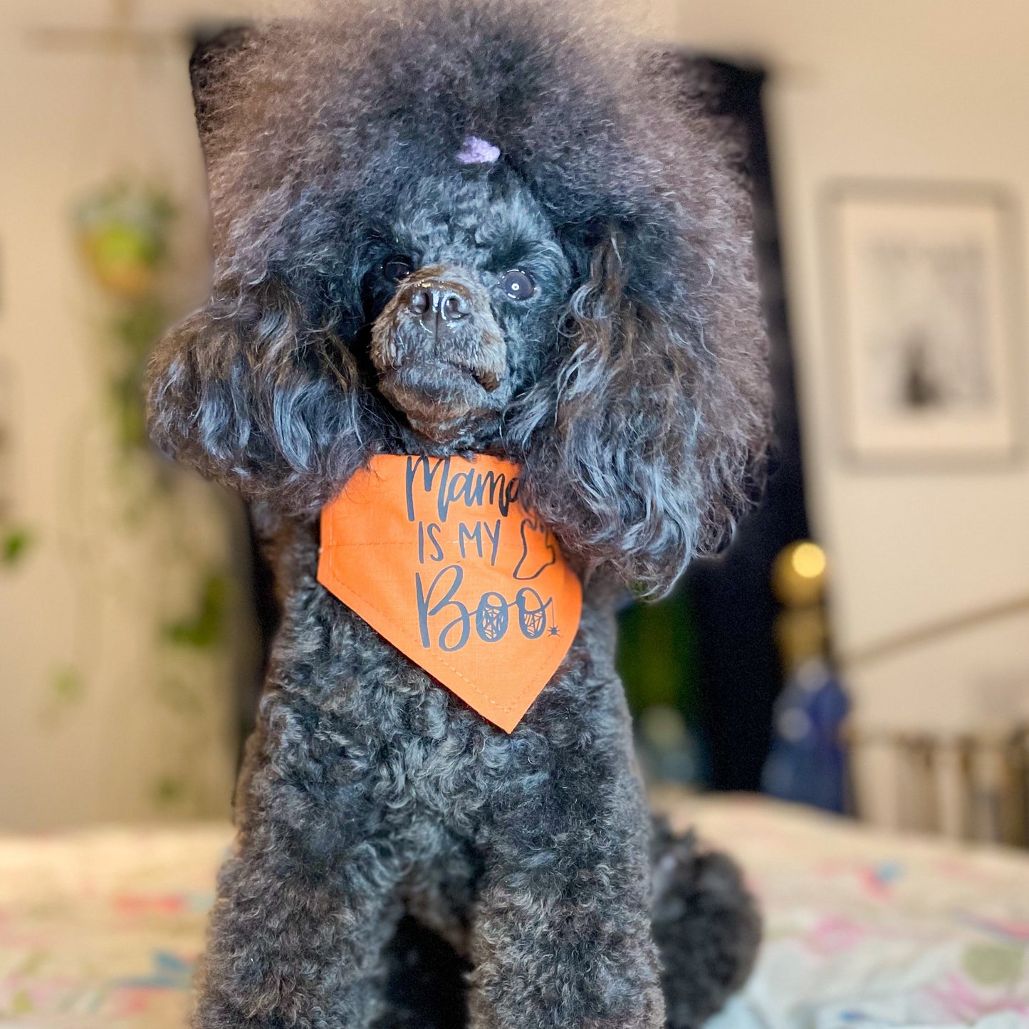 mama is my boo - halloween banana