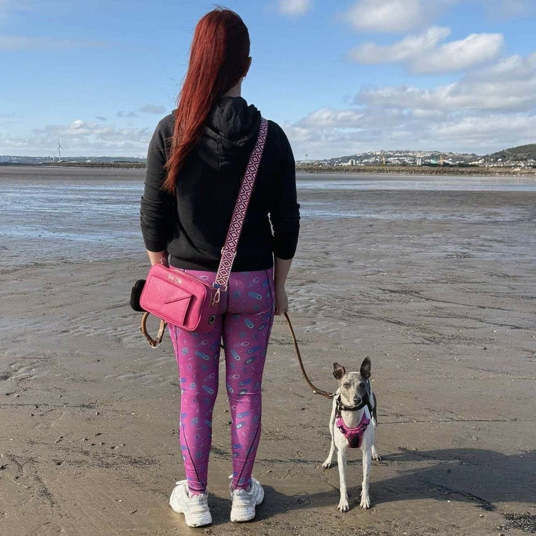 Matching Dog & Owner Outfits: Complete Style Guide (2026)