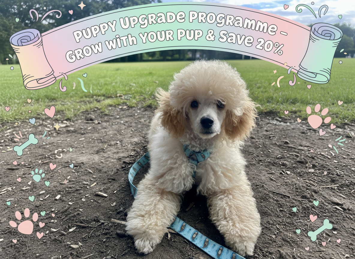 Puppy Upgrade Programme – Grow with Your Pup & Save 20%