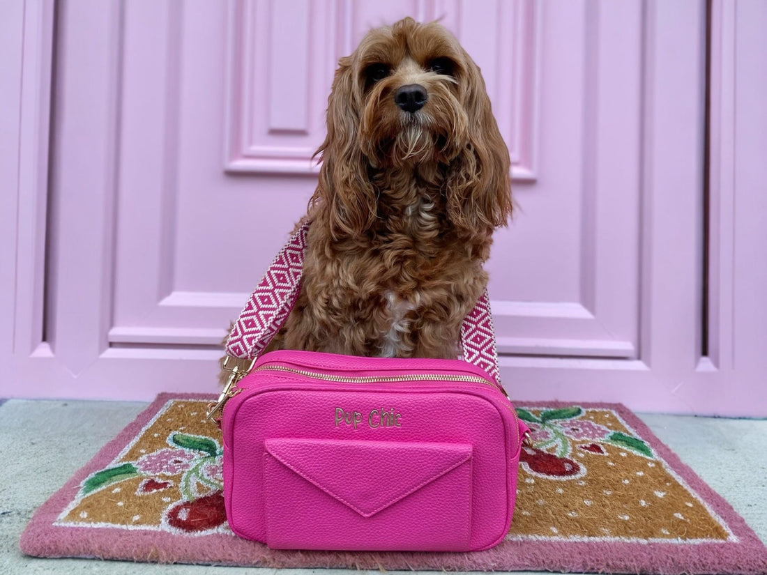 cavapoo dog walking bag