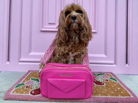 cavapoo dog walking bag