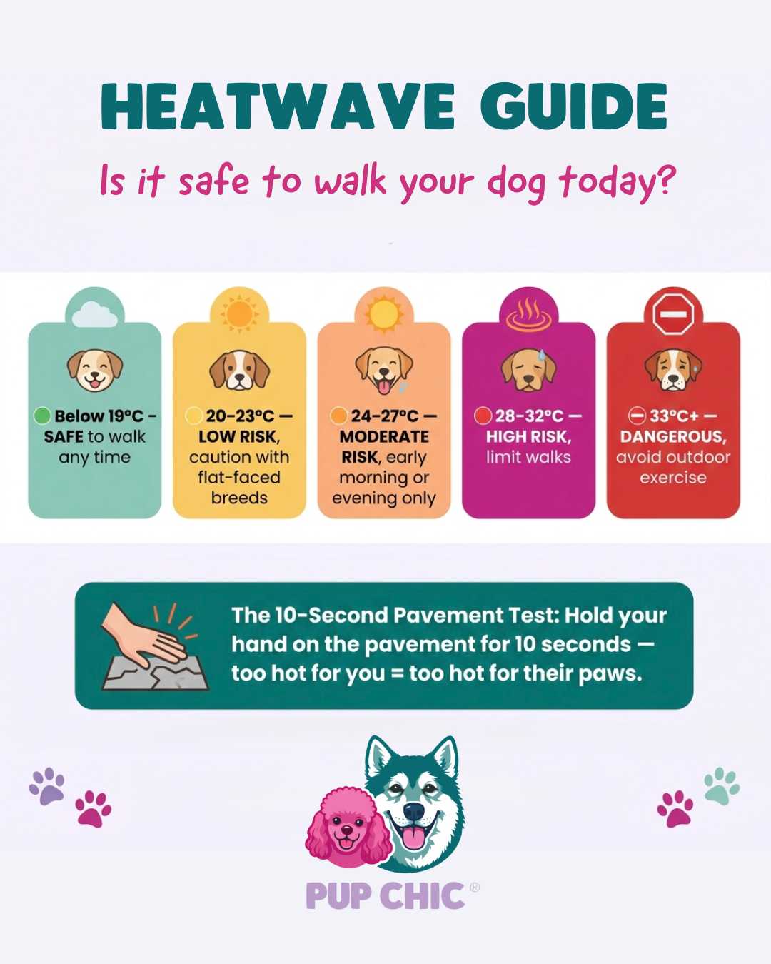 Is It Safe to Walk My Dog in the Heat? Your Complete Heatwave Guide