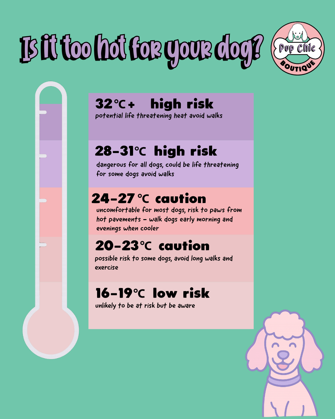 How to Keep Your Dog Cool in Hot Weather: Summer Safety Tips for Pet Parents ☀️🐾 - Pup Chic Boutique