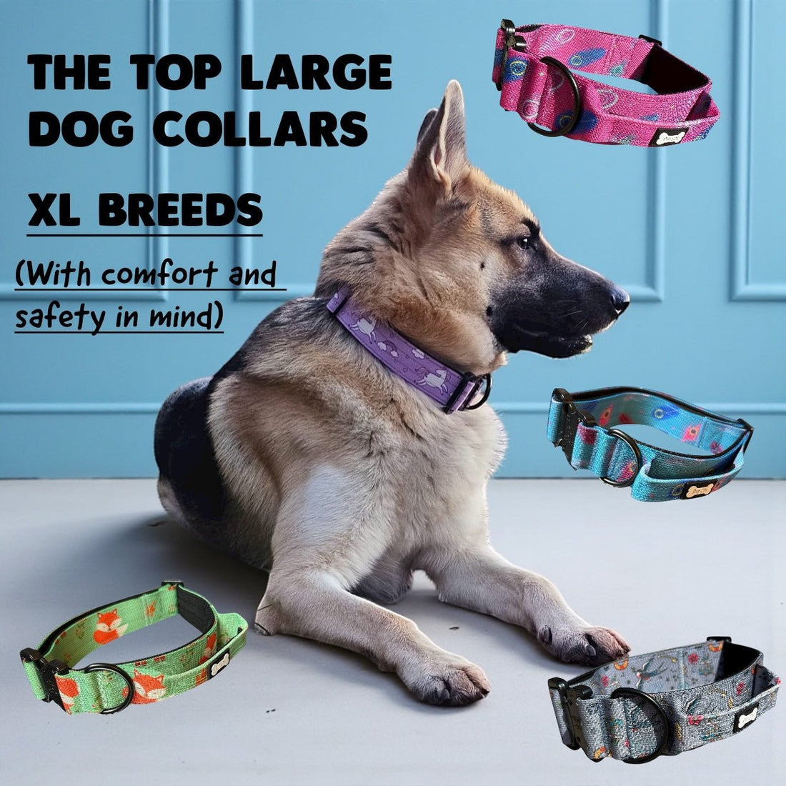 The Top Large Dog Collars for XL Breeds (with Comfort & Safety in Mind) - Pup Chic Boutique