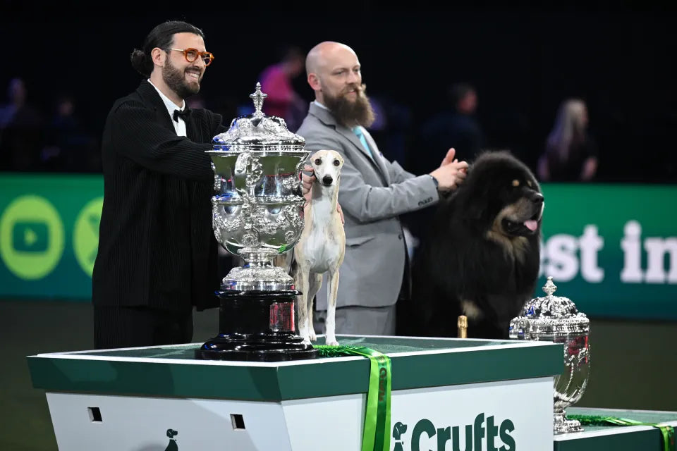 Crufts 2026: Top Tips for Making the Most of Your Visit (+ Join Our Pup Chic Community!)
