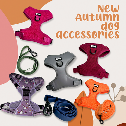 New Autumn collection