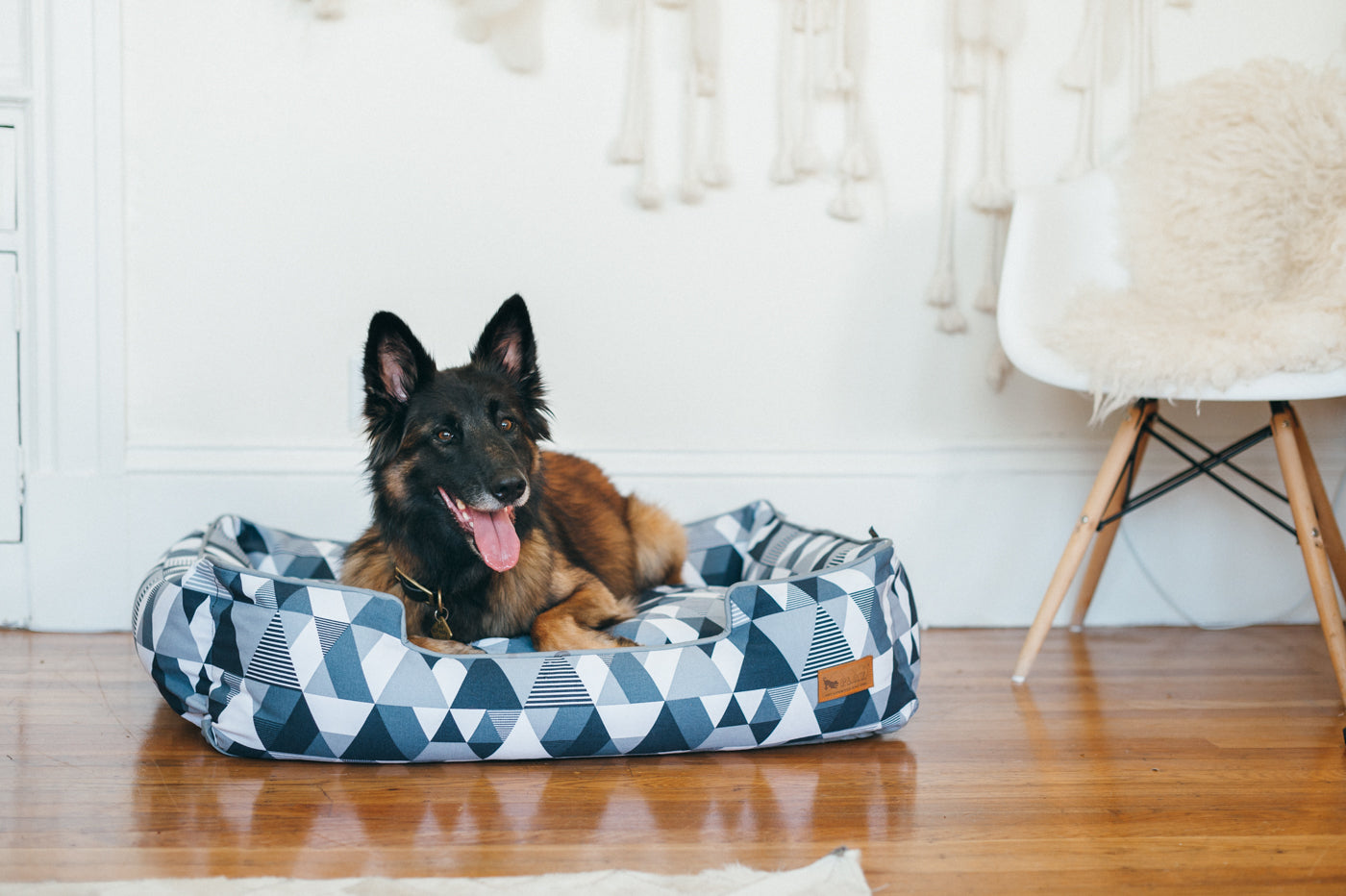 Dog Beds
