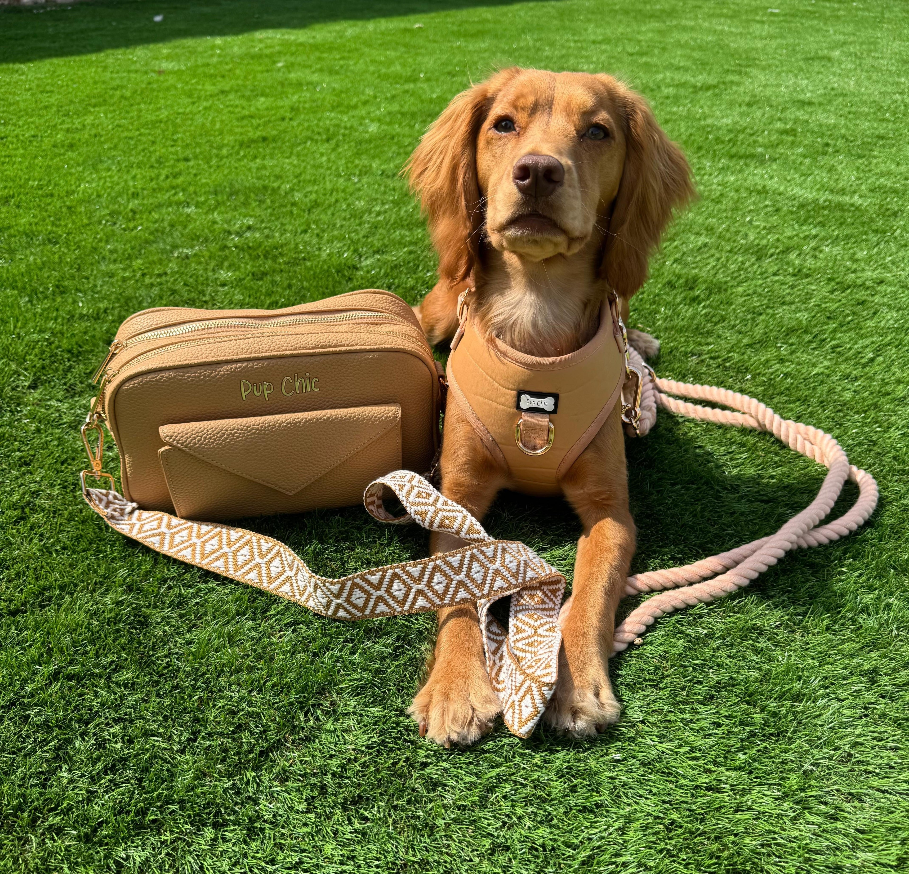 Our Best Sellers: Chic Pup Essentials & Matching Style for Dog Lovers - Pup Chic Boutique