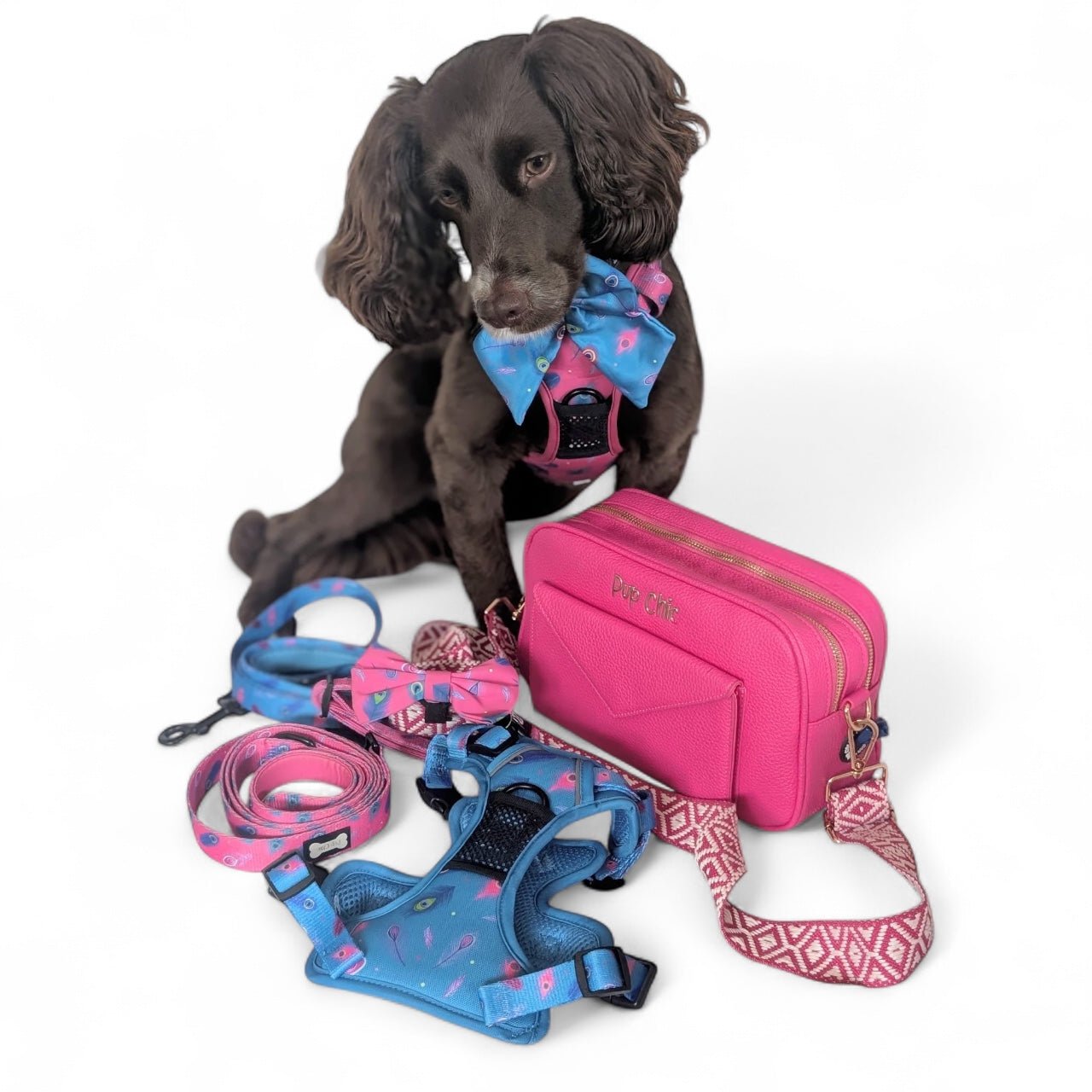 Peacock Power - Pup Chic Boutique