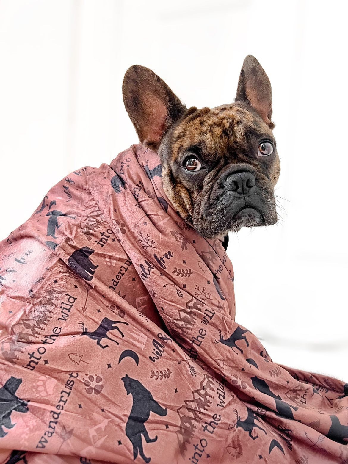 Wanderlust - Pup Chic Boutique