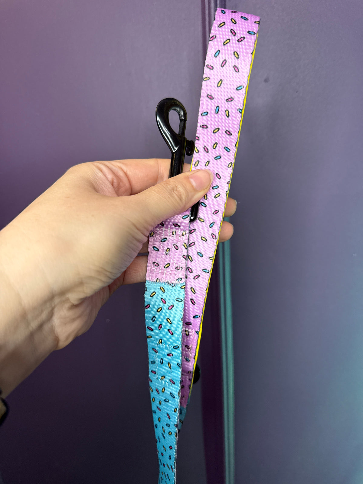 PRE-LOVED: Sprinkles For Days lead