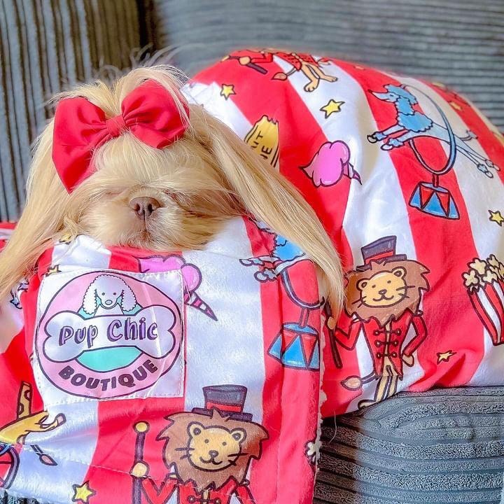 Circus Chic dog blankets - fleece dog blanket - two sizes