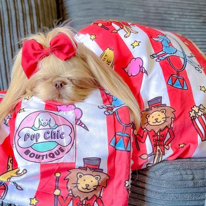 Circus Chic dog blankets - fleece dog blanket - two sizes - Pup Chic Boutique