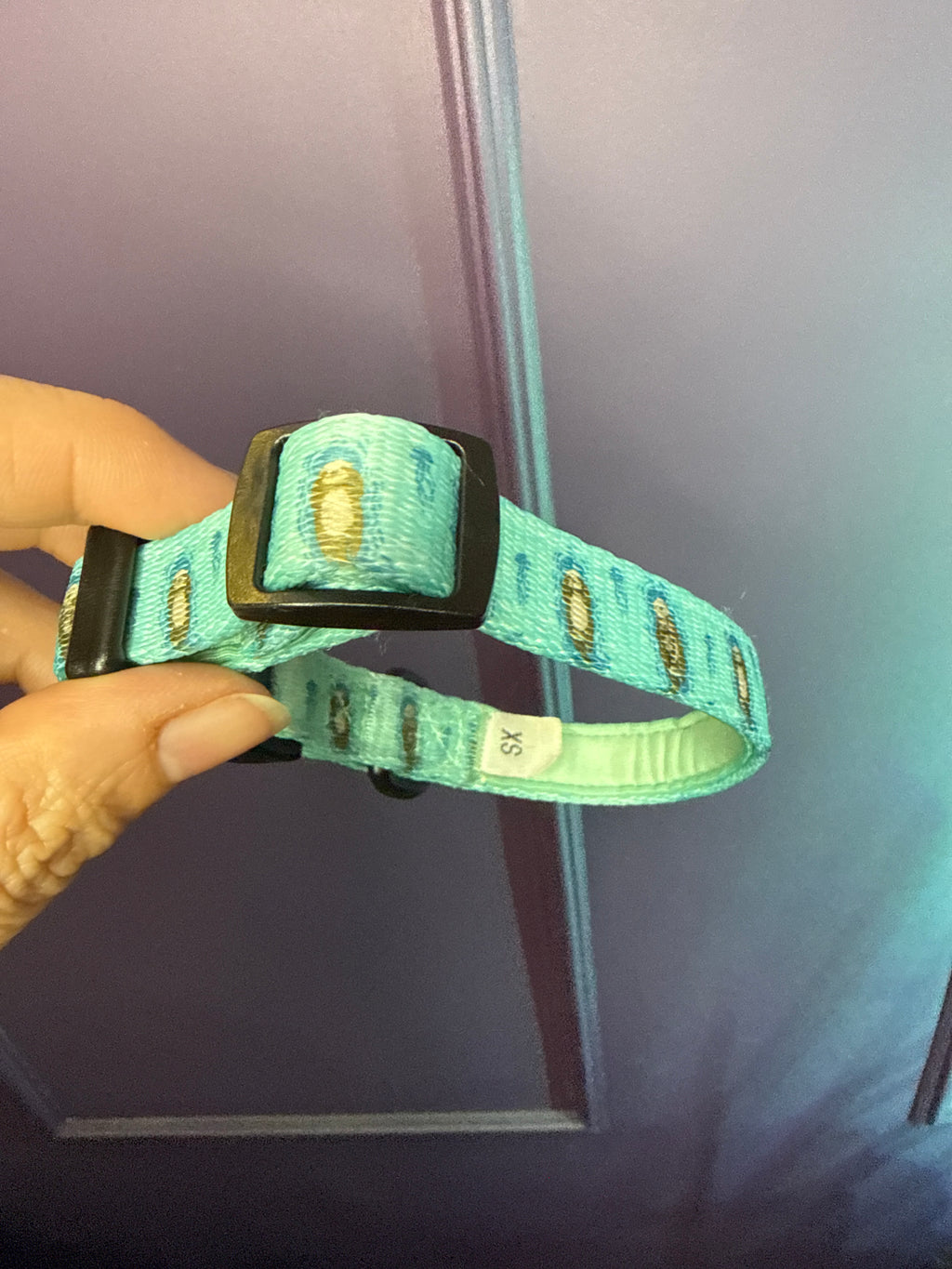 PRE-LOVED: Otterly Lovely XS Collar