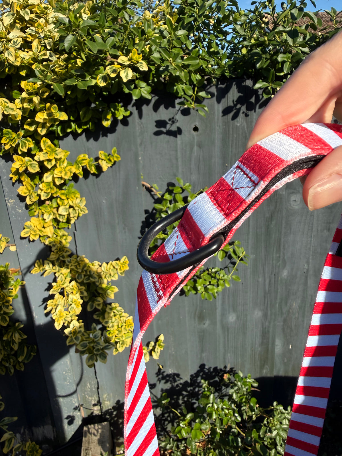 PRE-LOVED: Circus Chic lead