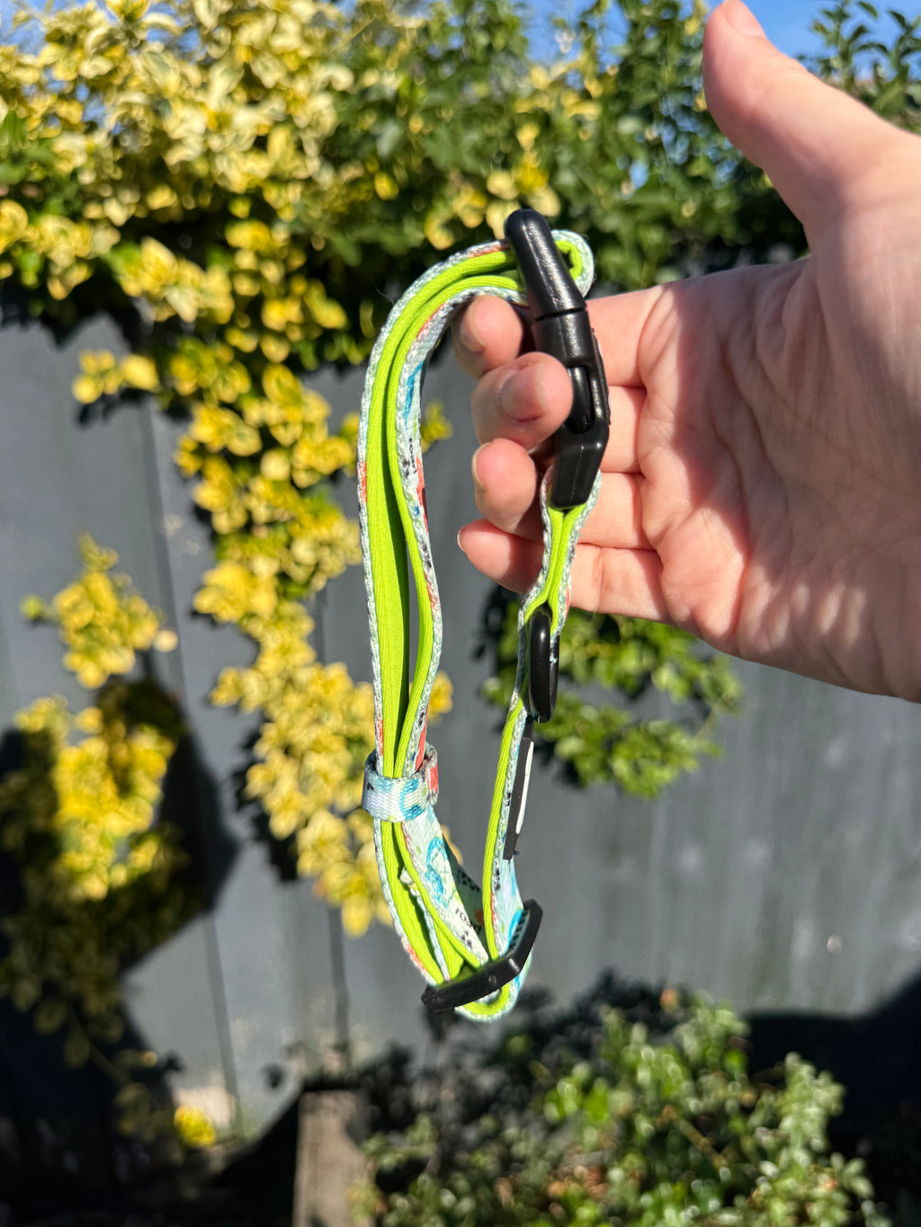PRE-LOVED: Prehistoric Pup Medium Collar