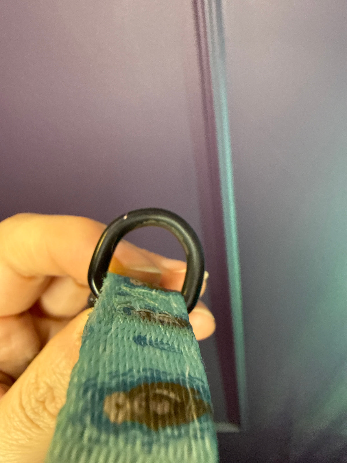 PRE-LOVED: Otterly Lovely XS Collar