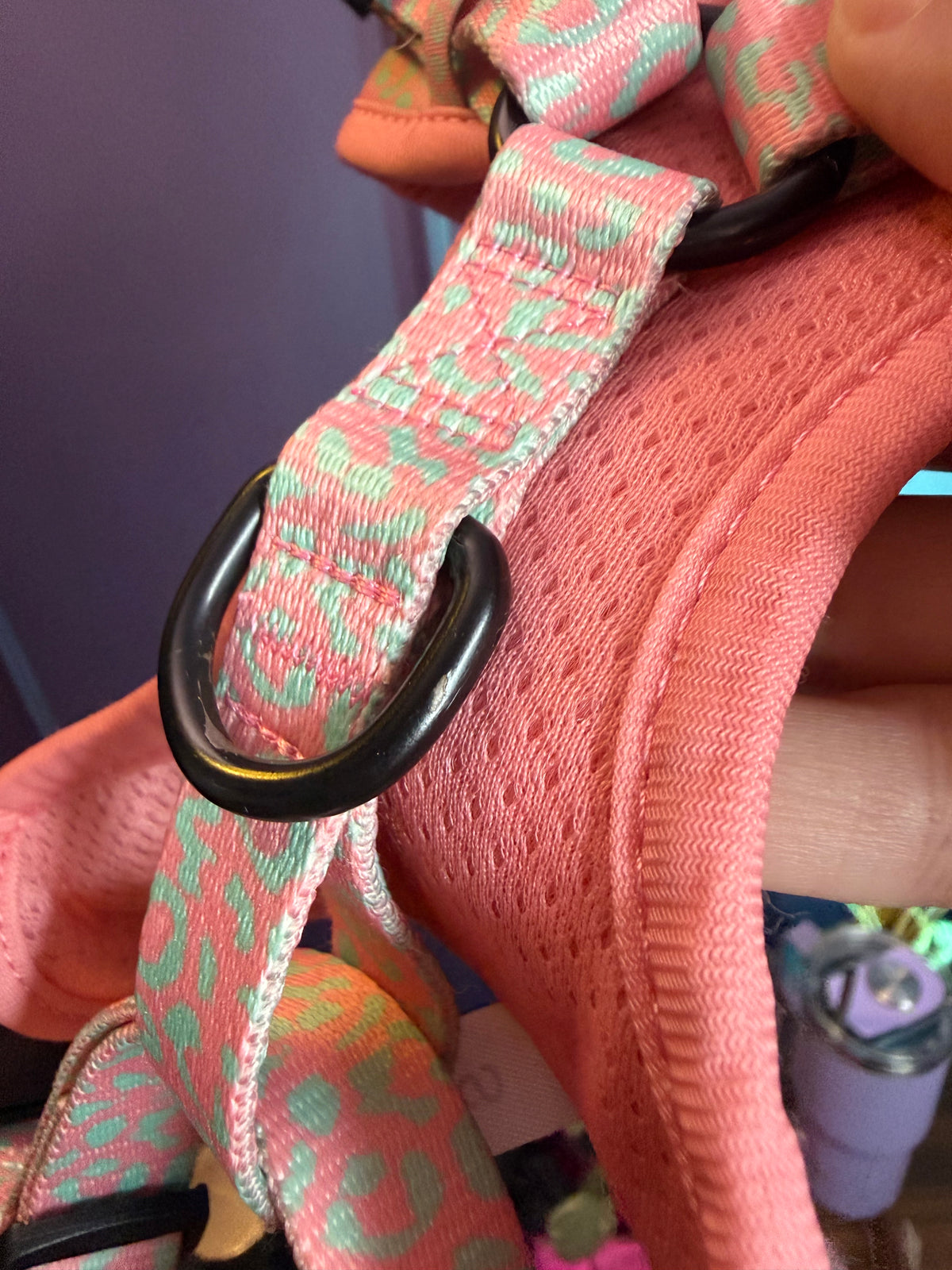 PRE-LOVED: Wild Chic small adjustable harness