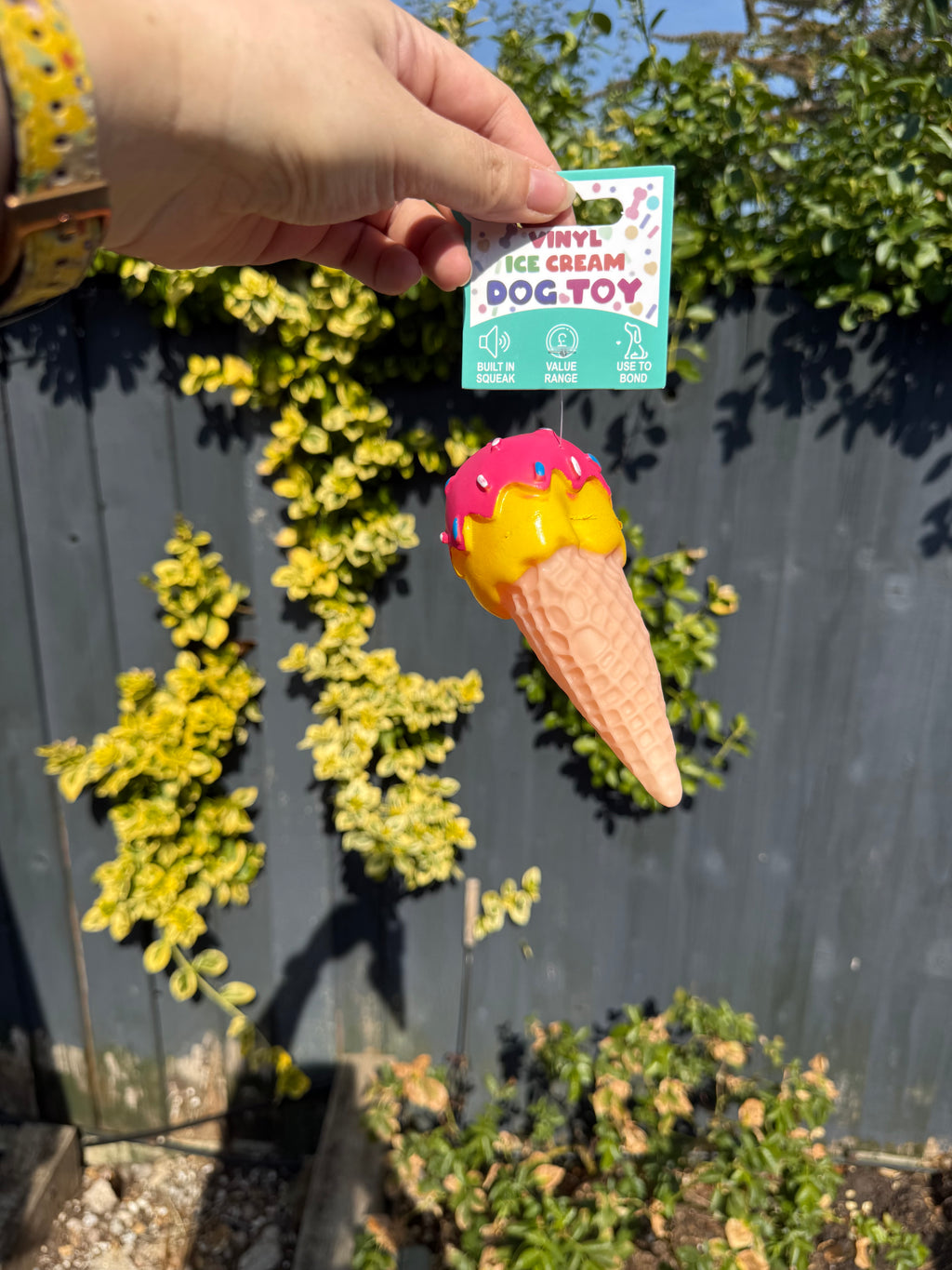 Ice Cream Squeaky Dog Toy
