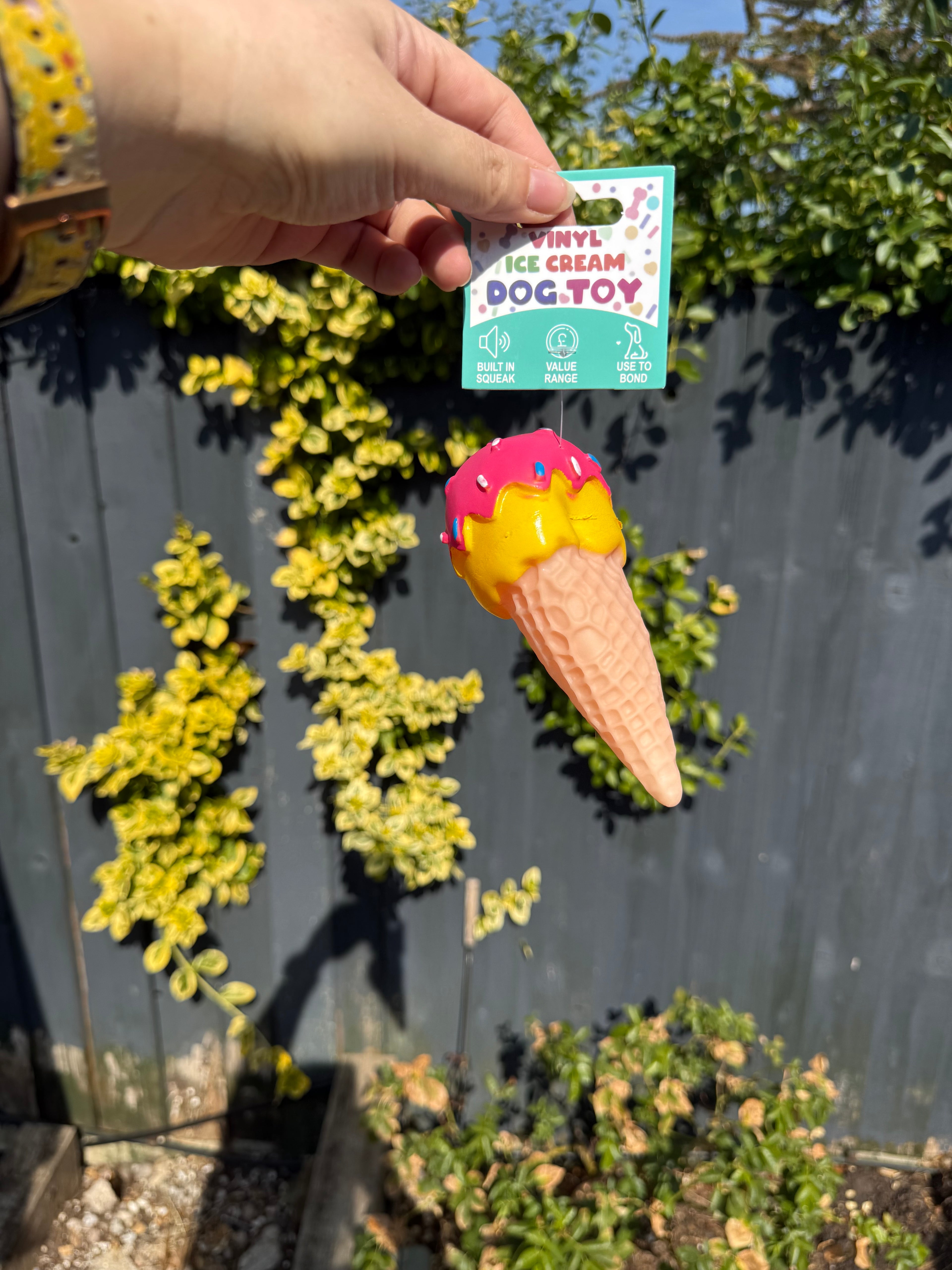 Ice Cream Squeaky Dog Toy