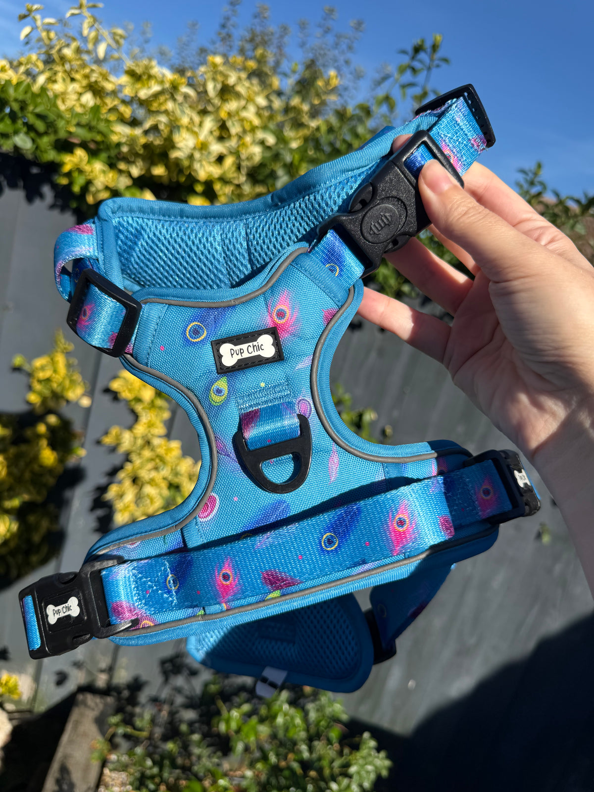 PRE-LOVED: Power Peacock Large Tactical Harness