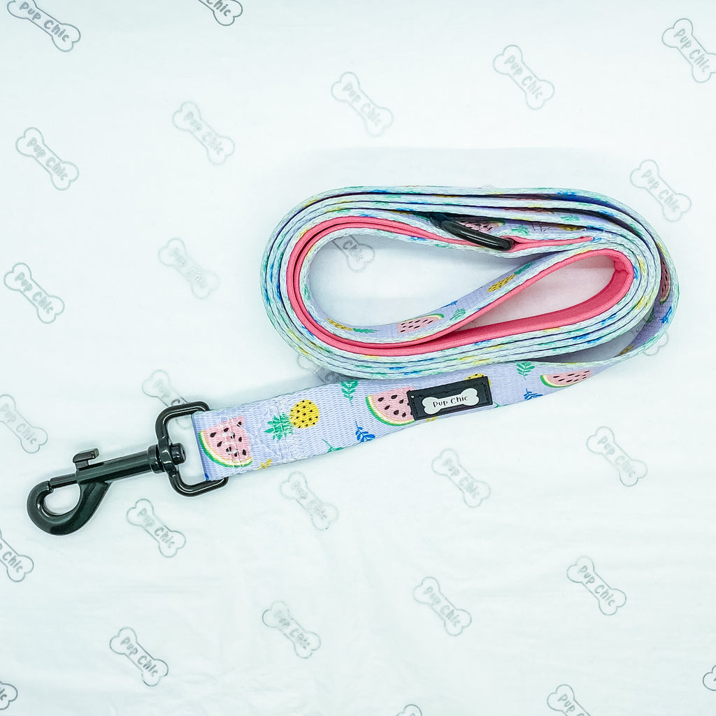 Cutie Fruity 5ft Dog Lead