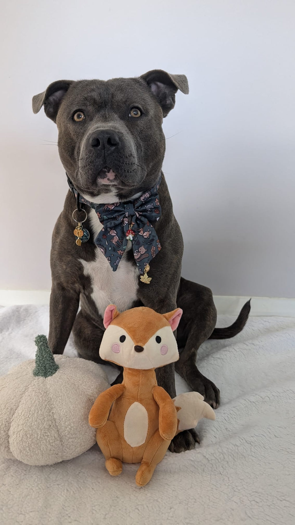 Autumn Wonderland Chessie the Fox dog toy - Pup Chic Boutique