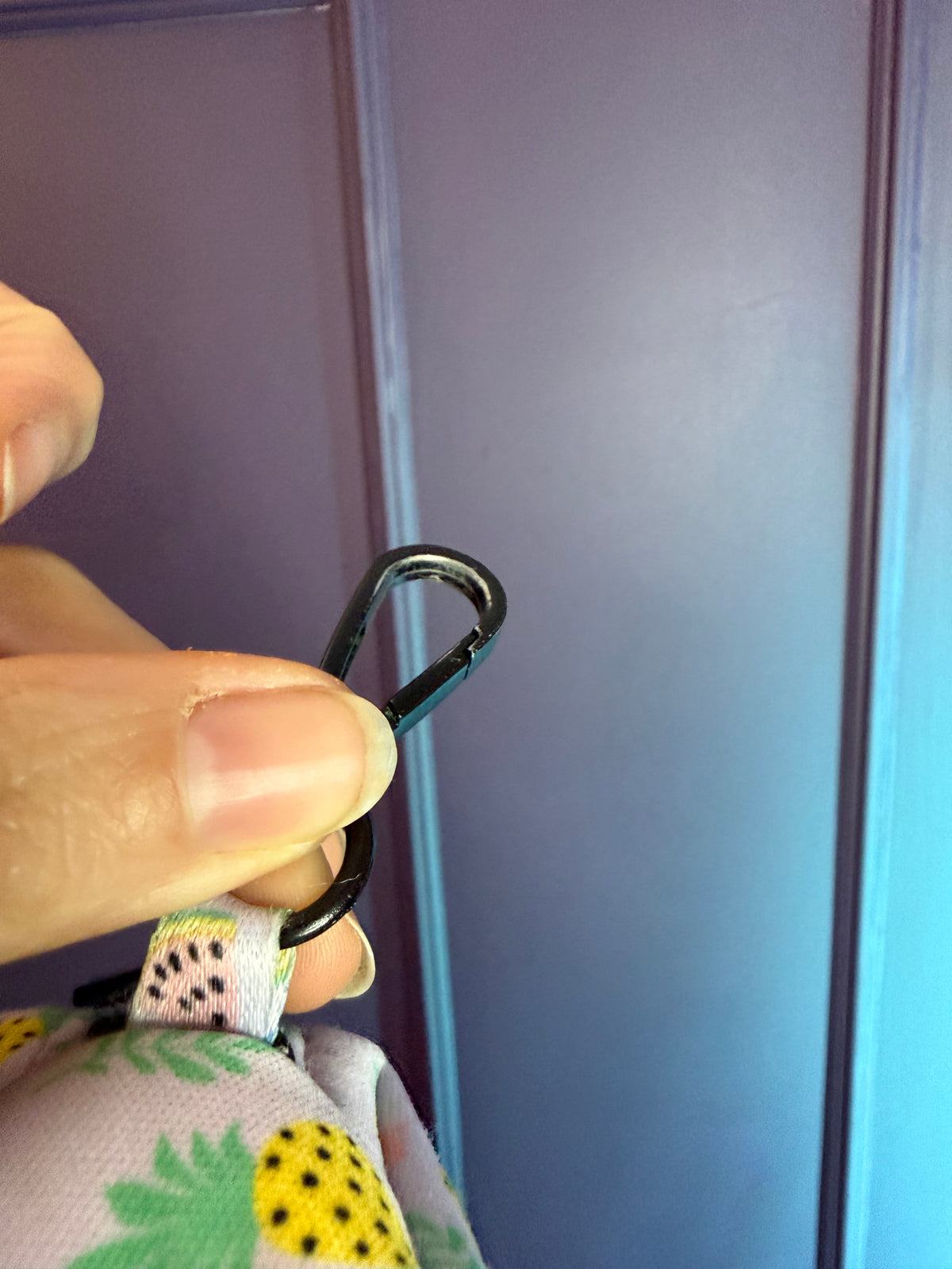 PRE-LOVED: Cutie Fruity Poo Bag Holder